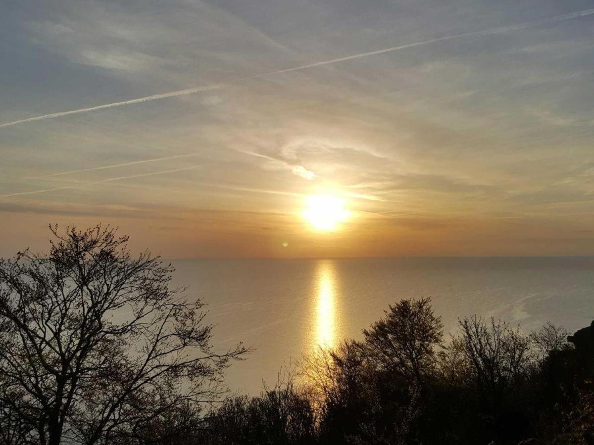 Отель Babbacombe Palms Торки Экстерьер фото